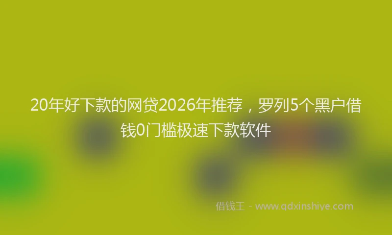 20年好下款的网贷2026年推荐，罗列5个黑户借钱0门槛极速下款软件