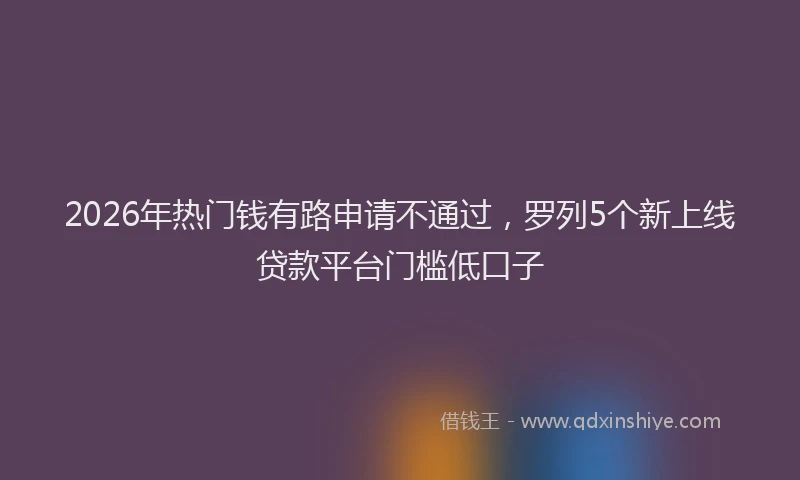 2026年热门钱有路申请不通过，罗列5个新上线贷款平台门槛低口子