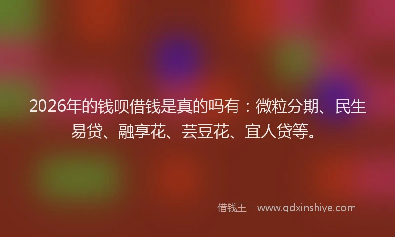 2026年的钱呗借钱是真的吗有：微粒分期、民生易贷、融享花、芸豆花、宜人贷等。