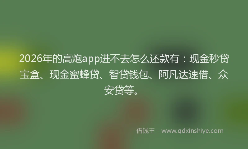2026年的高炮app进不去怎么还款有：现金秒贷宝盒、现金蜜蜂贷、智贷钱包、阿凡达速借、众安贷等。