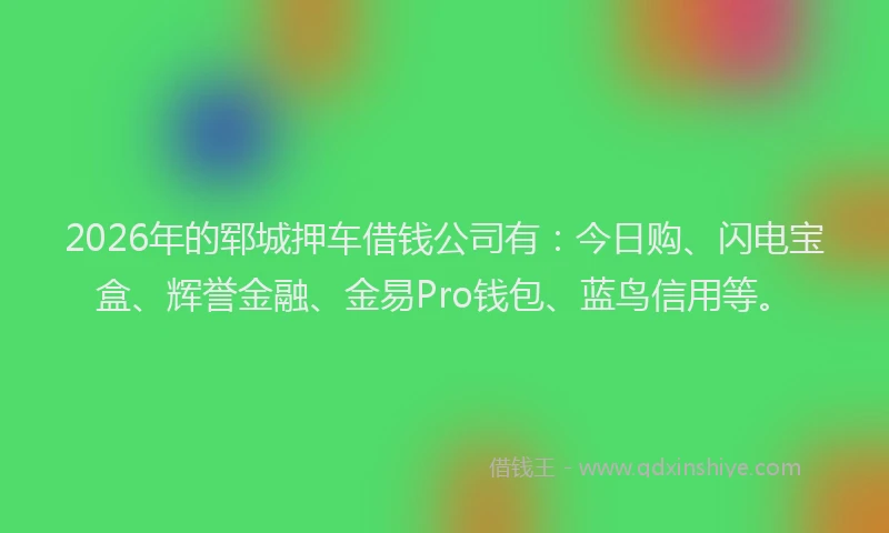 2026年的郓城押车借钱公司有：今日购、闪电宝盒、辉誉金融、金易Pro钱包、蓝鸟信用等。
