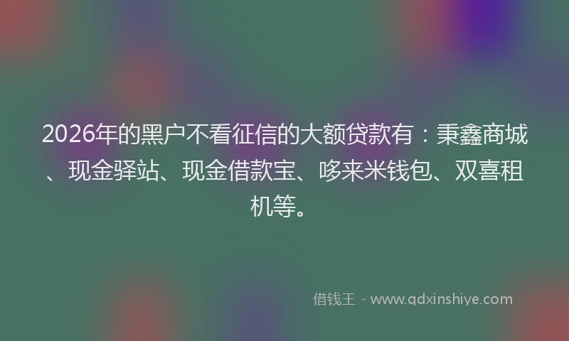 2026年的黑户不看征信的大额贷款有：秉鑫商城、现金驿站、现金借款宝、哆来米钱包、双喜租机等。