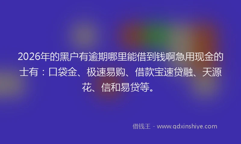2026年的黑户有逾期哪里能借到钱啊急用现金的士有：口袋金、极速易购、借款宝速贷融、天源花、信和易贷等。