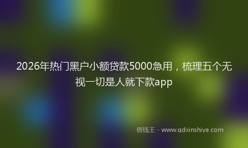 2026年热门黑户小额贷款5000急用，梳理五个无视一切是人就下款app