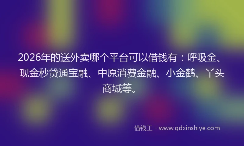 2026年的送外卖哪个平台可以借钱有：呼吸金、现金秒贷通宝融、中原消费金融、小金鹤、丫头商城等。