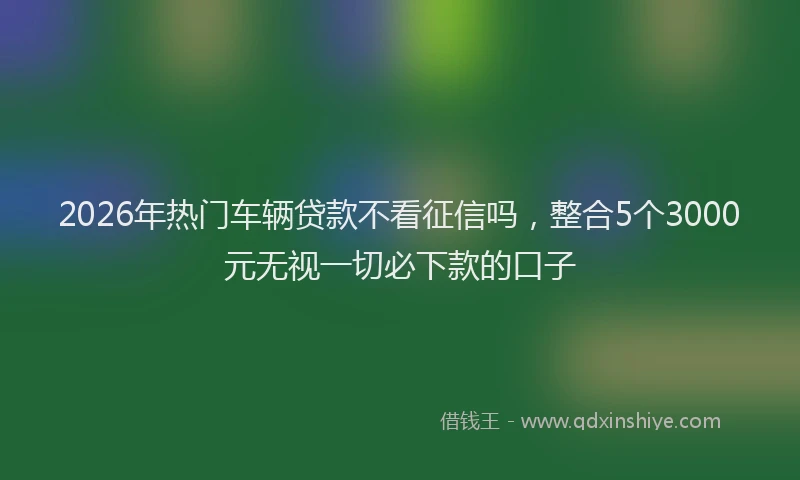 2026年热门车辆贷款不看征信吗，整合5个3000元无视一切必下款的口子
