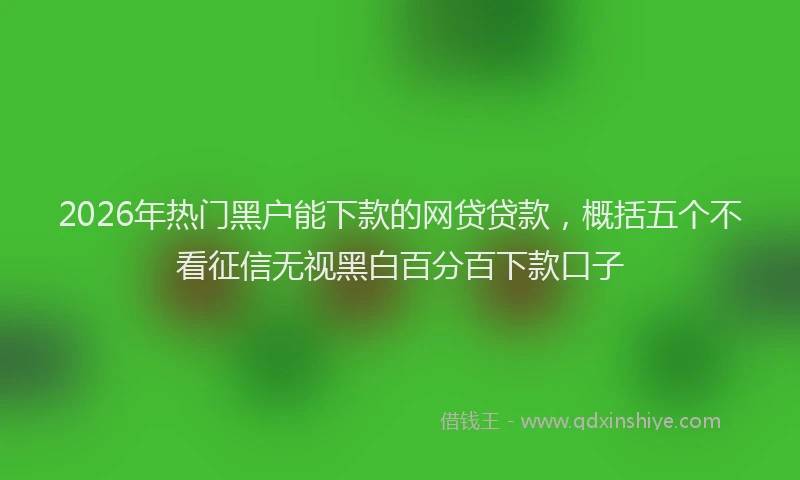 2026年热门黑户能下款的网贷贷款，概括五个不看征信无视黑白百分百下款口子