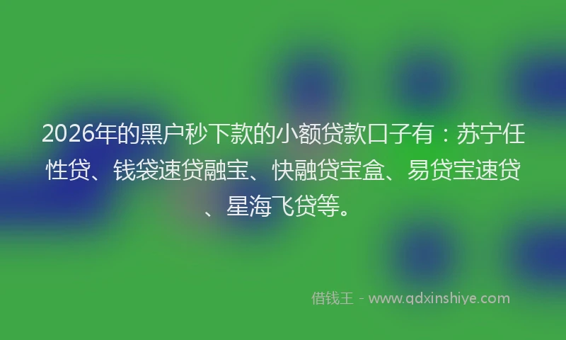 2026年的黑户秒下款的小额贷款口子有：苏宁任性贷、钱袋速贷融宝、快融贷宝盒、易贷宝速贷、星海飞贷等。