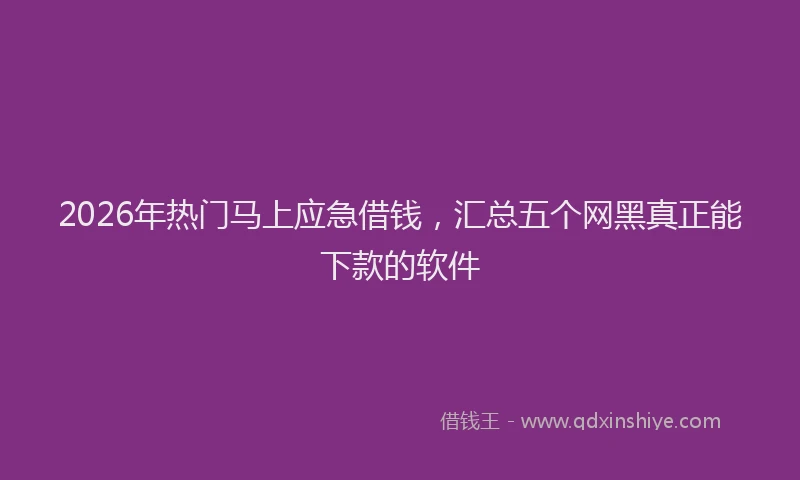 2026年热门马上应急借钱，汇总五个网黑真正能下款的软件
