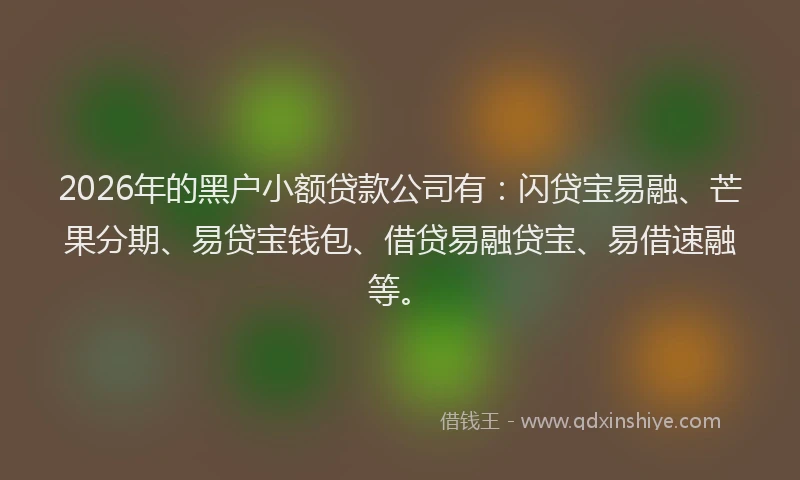 2026年的黑户小额贷款公司有：闪贷宝易融、芒果分期、易贷宝钱包、借贷易融贷宝、易借速融等。