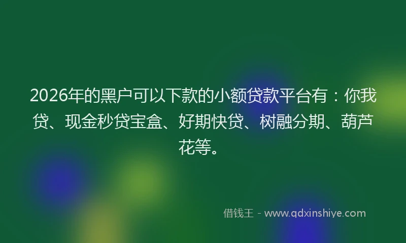 2026年的黑户可以下款的小额贷款平台有：你我贷、现金秒贷宝盒、好期快贷、树融分期、葫芦花等。