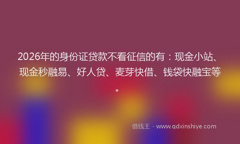 2026年的身份证贷款不看征信的有：现金小站、现金秒融易、好人贷、麦芽快借、钱袋快融宝等。