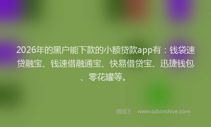 2026年的黑户能下款的小额贷款app有：钱袋速贷融宝、钱速借融通宝、快易借贷宝、迅捷钱包、零花罐等。