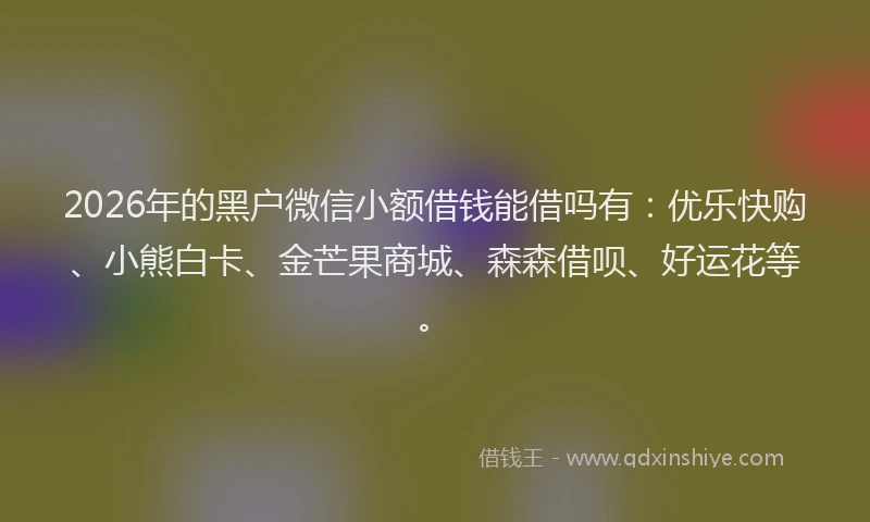2026年的黑户微信小额借钱能借吗有：优乐快购、小熊白卡、金芒果商城、森森借呗、好运花等。