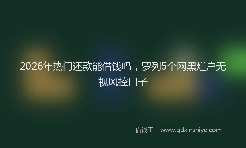 2026年热门还款能借钱吗，罗列5个网黑烂户无视风控口子