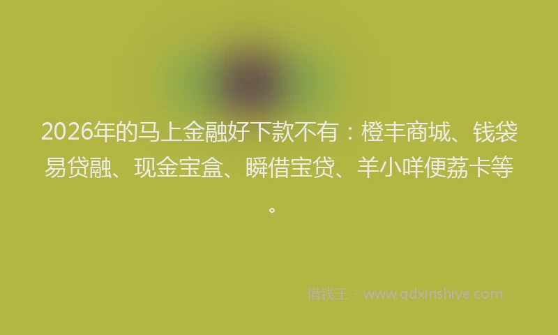 2026年的马上金融好下款不有：橙丰商城、钱袋易贷融、现金宝盒、瞬借宝贷、羊小咩便荔卡等。