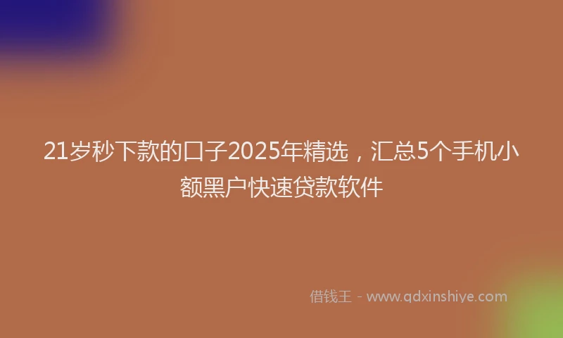 21岁秒下款的口子2025年精选，汇总5个手机小额黑户快速贷款软件
