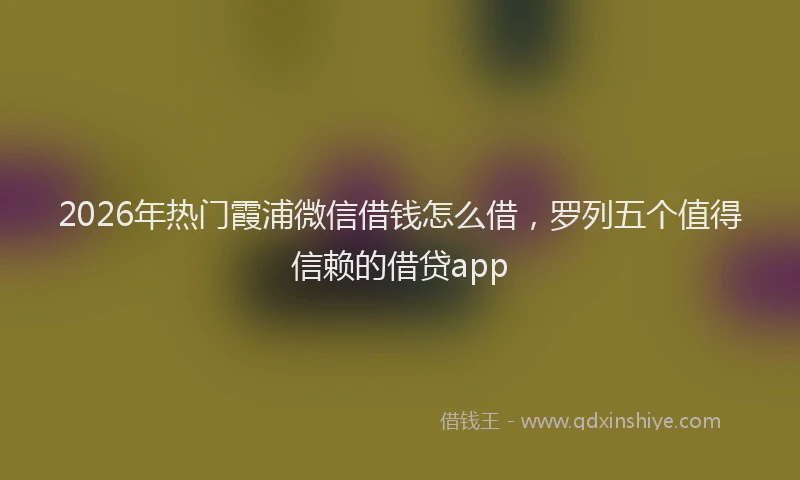 2026年热门霞浦微信借钱怎么借，罗列五个值得信赖的借贷app