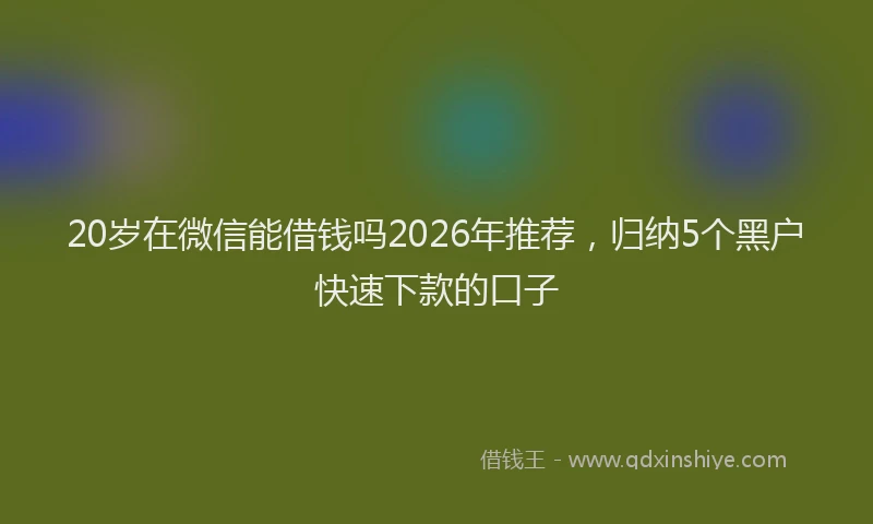 20岁在微信能借钱吗2026年推荐，归纳5个黑户快速下款的口子