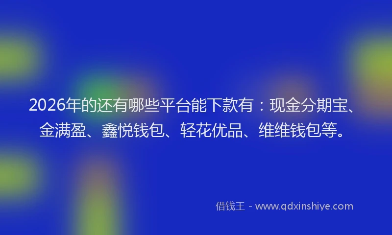2026年的还有哪些平台能下款有：现金分期宝、金满盈、鑫悦钱包、轻花优品、维维钱包等。