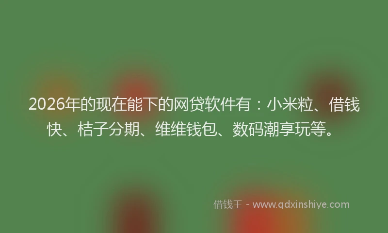 2026年的现在能下的网贷软件有：小米粒、借钱快、桔子分期、维维钱包、数码潮享玩等。