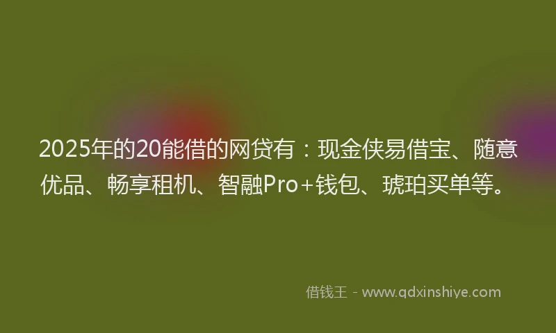 2025年的20能借的网贷有：现金侠易借宝、随意优品、畅享租机、智融Pro+钱包、琥珀买单等。