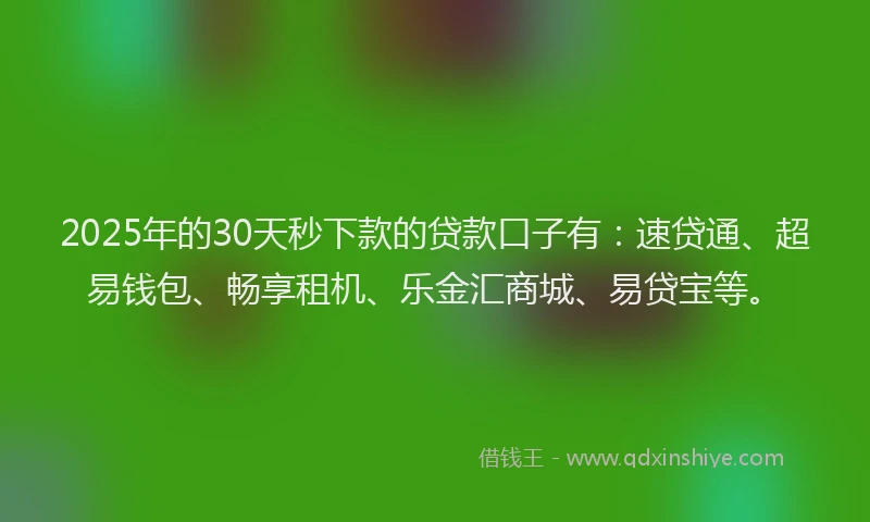 2025年的30天秒下款的贷款口子有：速贷通、超易钱包、畅享租机、乐金汇商城、易贷宝等。