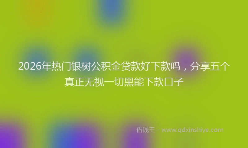 2026年热门银树公积金贷款好下款吗，分享五个真正无视一切黑能下款口子