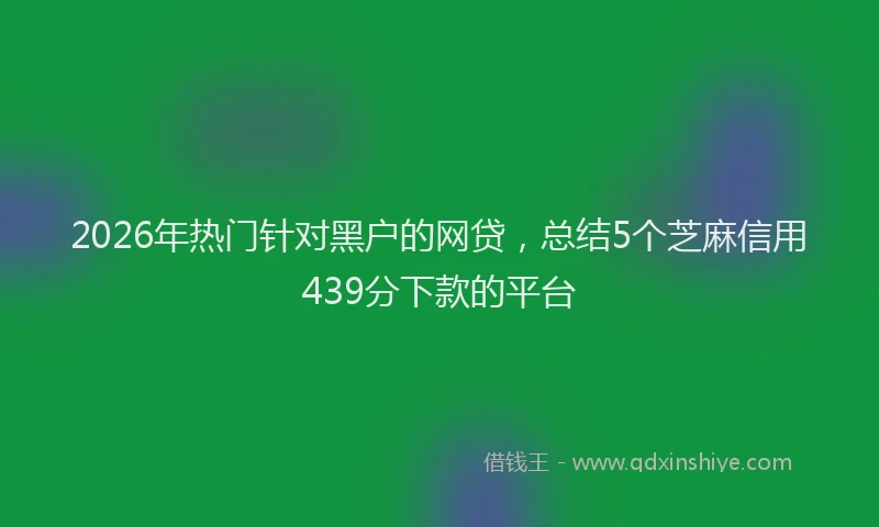 2026年热门针对黑户的网贷,总结5个芝麻信用439分下款的平台