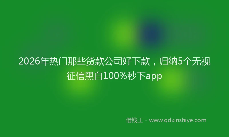 2026年热门那些货款公司好下款，归纳5个无视征信黑白100%秒下app