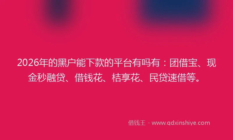 2026年的黑户能下款的平台有吗有：团借宝、现金秒融贷、借钱花、桔享花、民贷速借等。