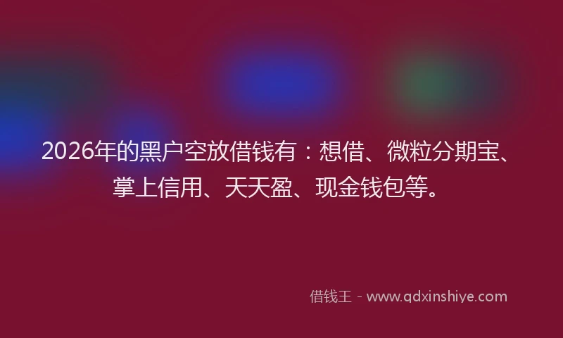 2026年的黑户空放借钱有：想借、微粒分期宝、掌上信用、天天盈、现金钱包等。