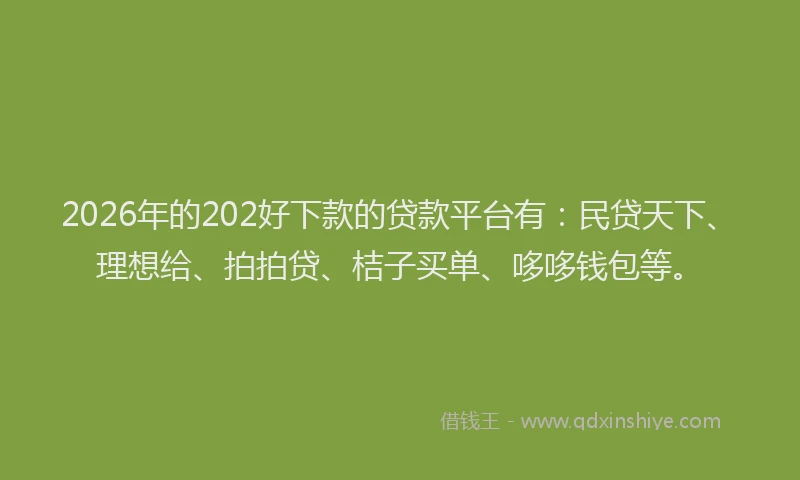 2026年的202好下款的贷款平台有：民贷天下、理想给、拍拍贷、桔子买单、哆哆钱包等。