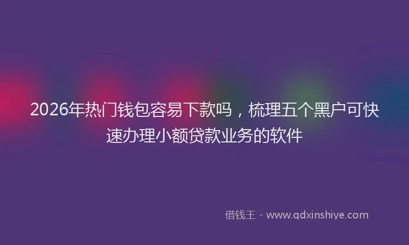 2026年热门钱包容易下款吗，梳理五个黑户可快速办理小额贷款业务的软件