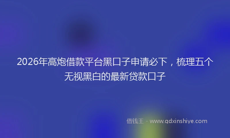 2026年高炮借款平台黑口子申请必下，梳理五个无视黑白的最新贷款口子