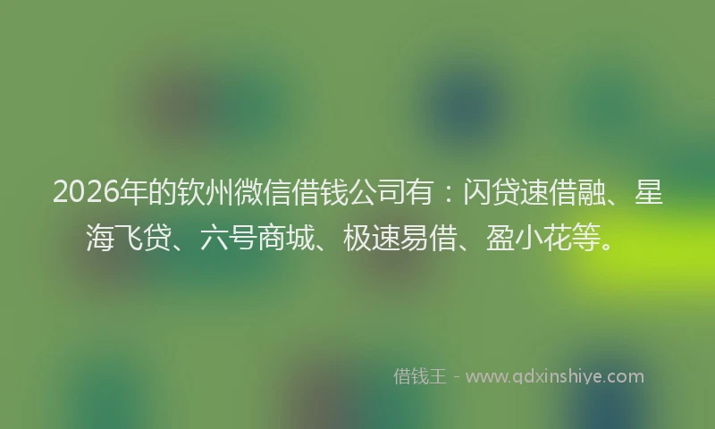 2026年的钦州微信借钱公司有：闪贷速借融、星海飞贷、六号商城、极速易借、盈小花等。