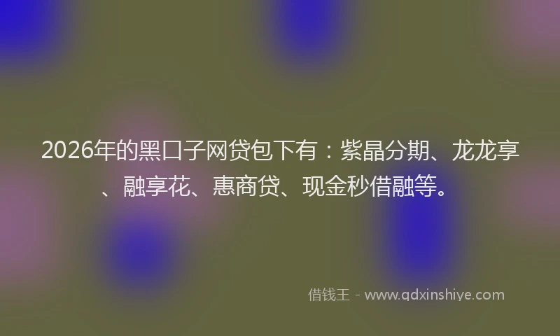 2026年的黑口子网贷包下有：紫晶分期、龙龙享、融享花、惠商贷、现金秒借融等。