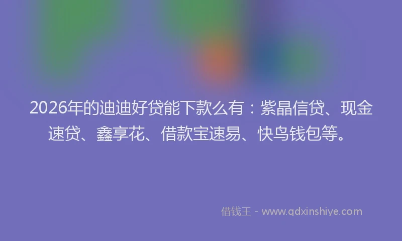 2026年的迪迪好贷能下款么有：紫晶信贷、现金速贷、鑫享花、借款宝速易、快鸟钱包等。