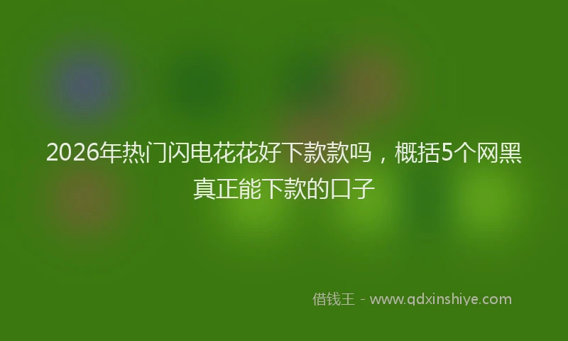 2026年热门闪电花花好下款款吗，概括5个网黑真正能下款的口子