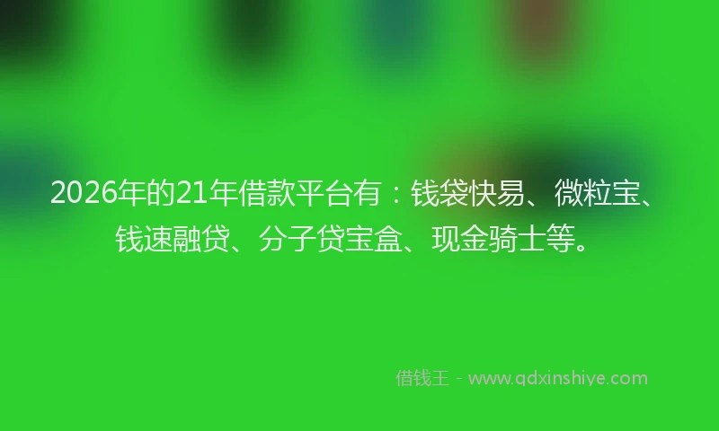 2026年的21年借款平台有：钱袋快易、微粒宝、钱速融贷、分子贷宝盒、现金骑士等。