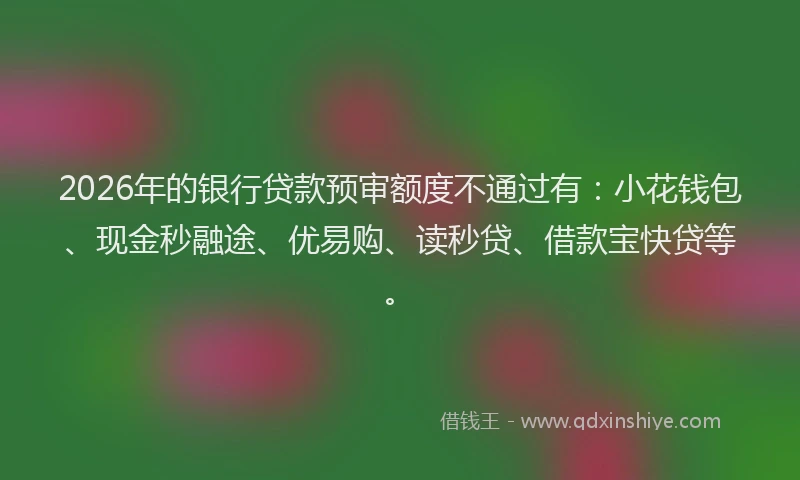 2026年的银行贷款预审额度不通过有：小花钱包、现金秒融途、优易购、读秒贷、借款宝快贷等。
