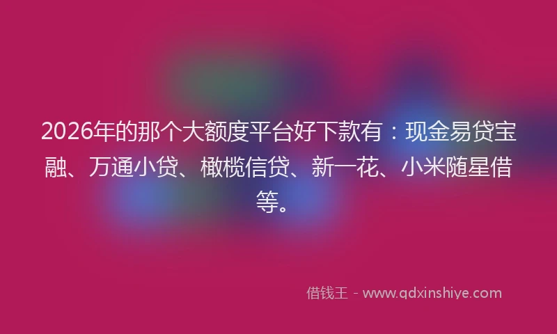 2026年的那个大额度平台好下款有：现金易贷宝融、万通小贷、橄榄信贷、新一花、小米随星借等。