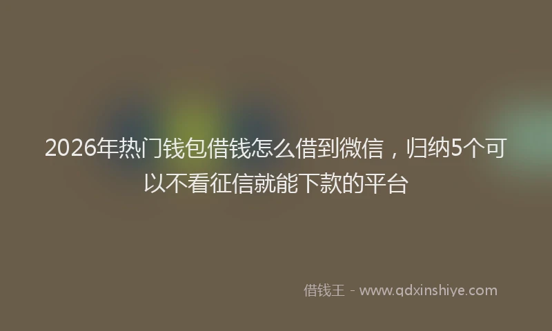 2026年热门钱包借钱怎么借到微信，归纳5个可以不看征信就能下款的平台