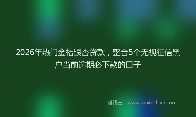 2026年热门金桔银杏贷款，整合5个无视征信黑户当前逾期必下款的口子