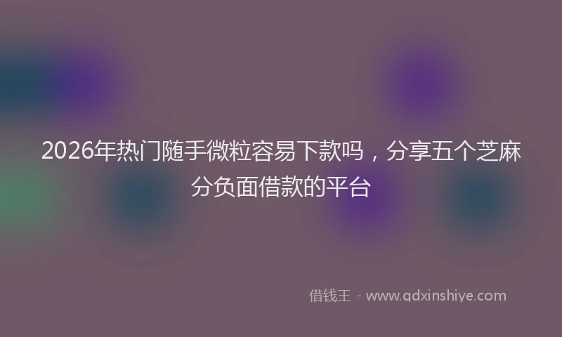 2026年热门随手微粒容易下款吗，分享五个芝麻分负面借款的平台