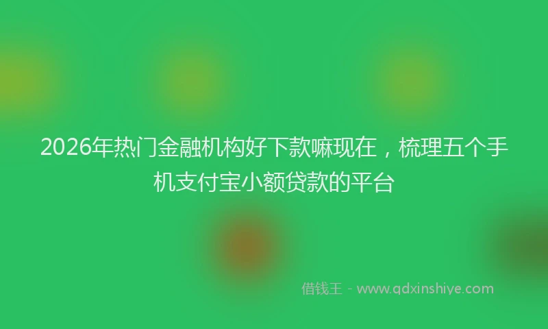 2026年热门金融机构好下款嘛现在，梳理五个手机支付宝小额贷款的平台