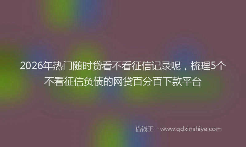 2026年热门随时贷看不看征信记录呢，梳理5个不看征信负债的网贷百分百下款平台