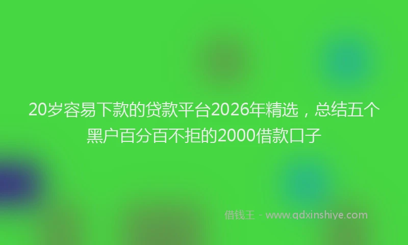 20岁容易下款的贷款平台2026年精选，总结五个黑户百分百不拒的2000借款口子