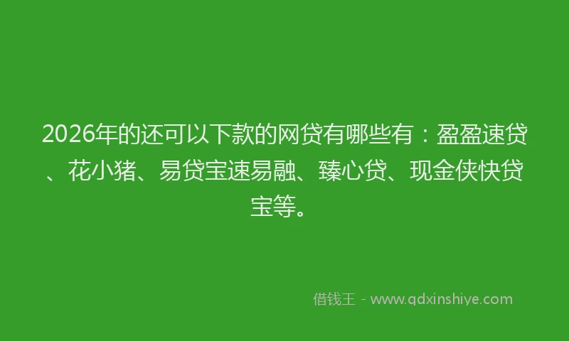 2026年的还可以下款的网贷有哪些有：盈盈速贷、花小猪、易贷宝速易融、臻心贷、现金侠快贷宝等。
