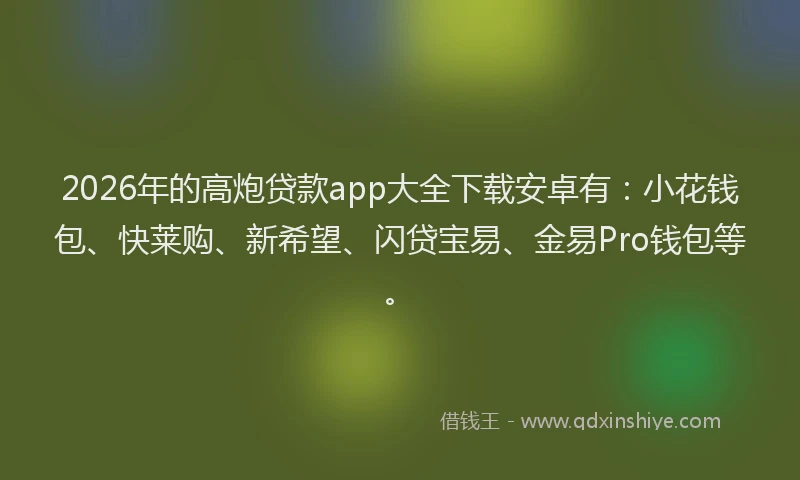 2026年的高炮贷款app大全下载安卓有：小花钱包、快莱购、新希望、闪贷宝易、金易Pro钱包等。